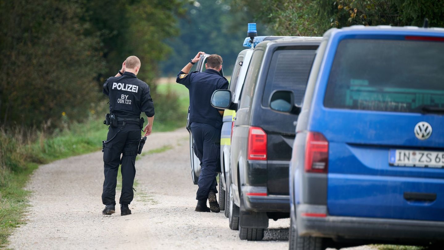 Nach Raubkatzen-Suche: Rätsel um möglichen Puma bei Erding bleibt vorerst ungelöst