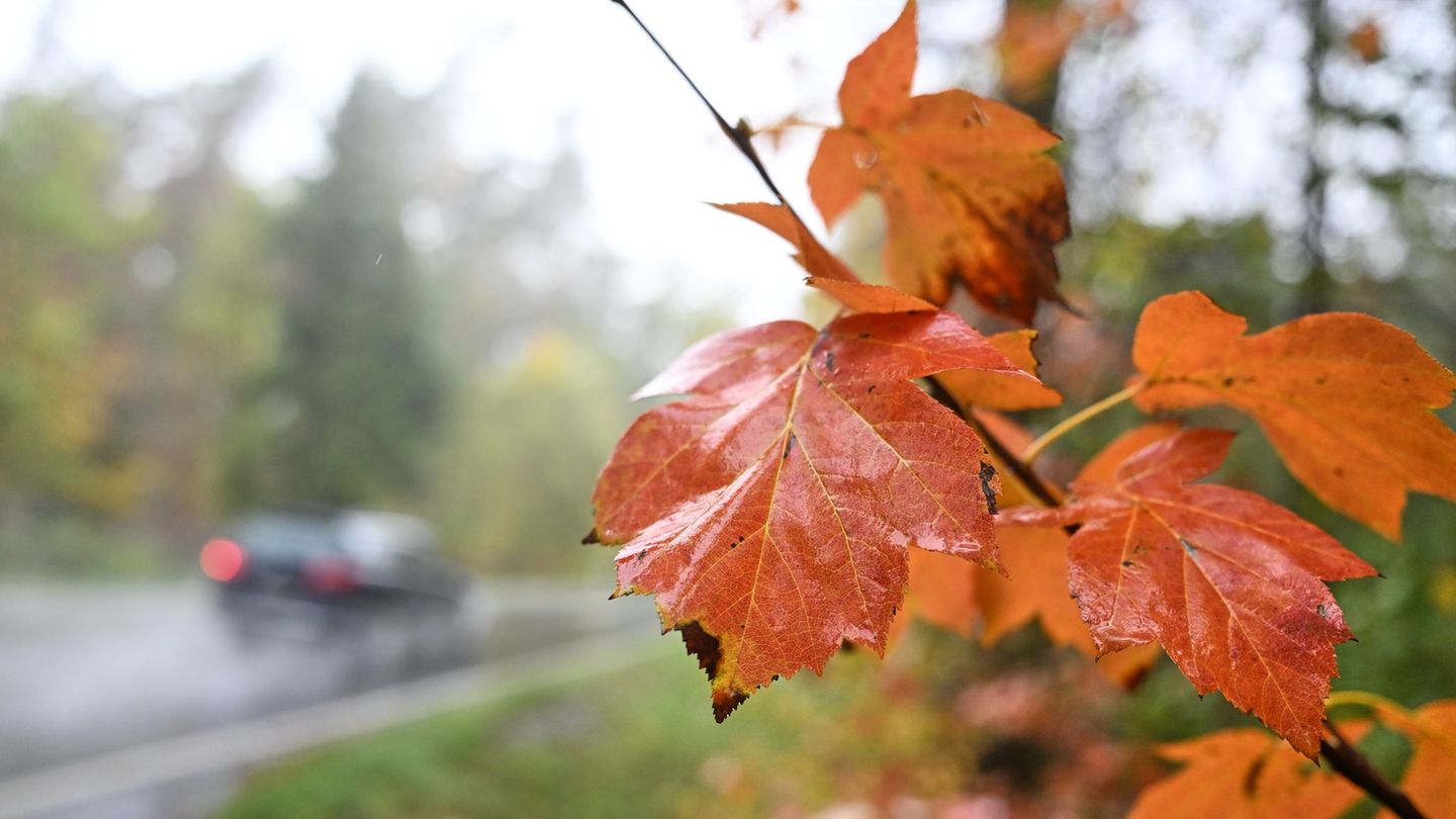 DWD-Prognose: Frost, Sturm, Regen, Schnee: Der Herbst bleibt ungemütlich