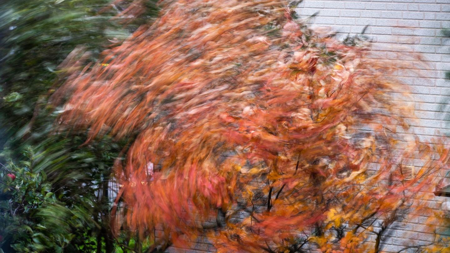 Herbstwetter: Stürmisches Wochenende erwartet