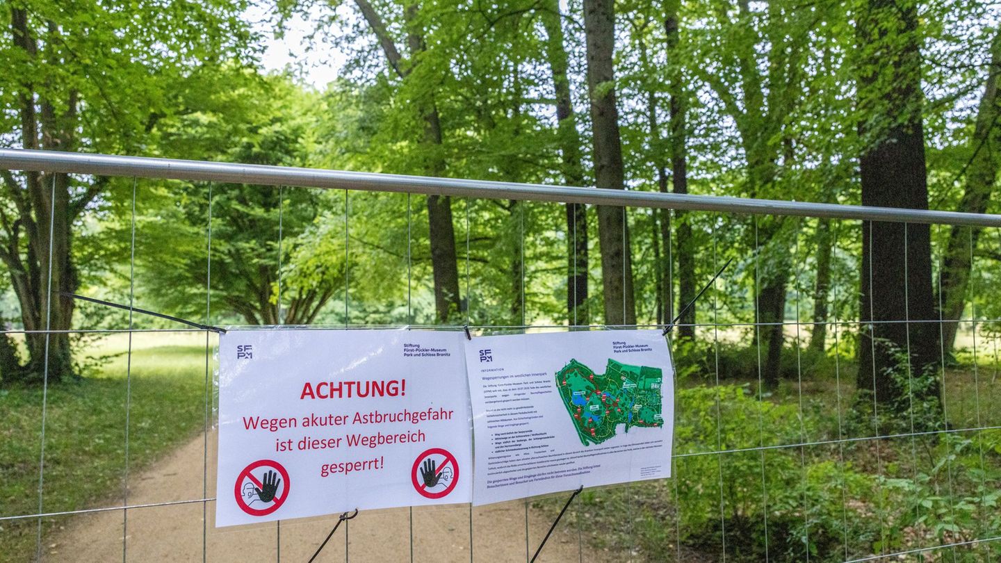 Wegsperrung: Fast alle Wege im Branitzer Innenpark wieder geöffnet