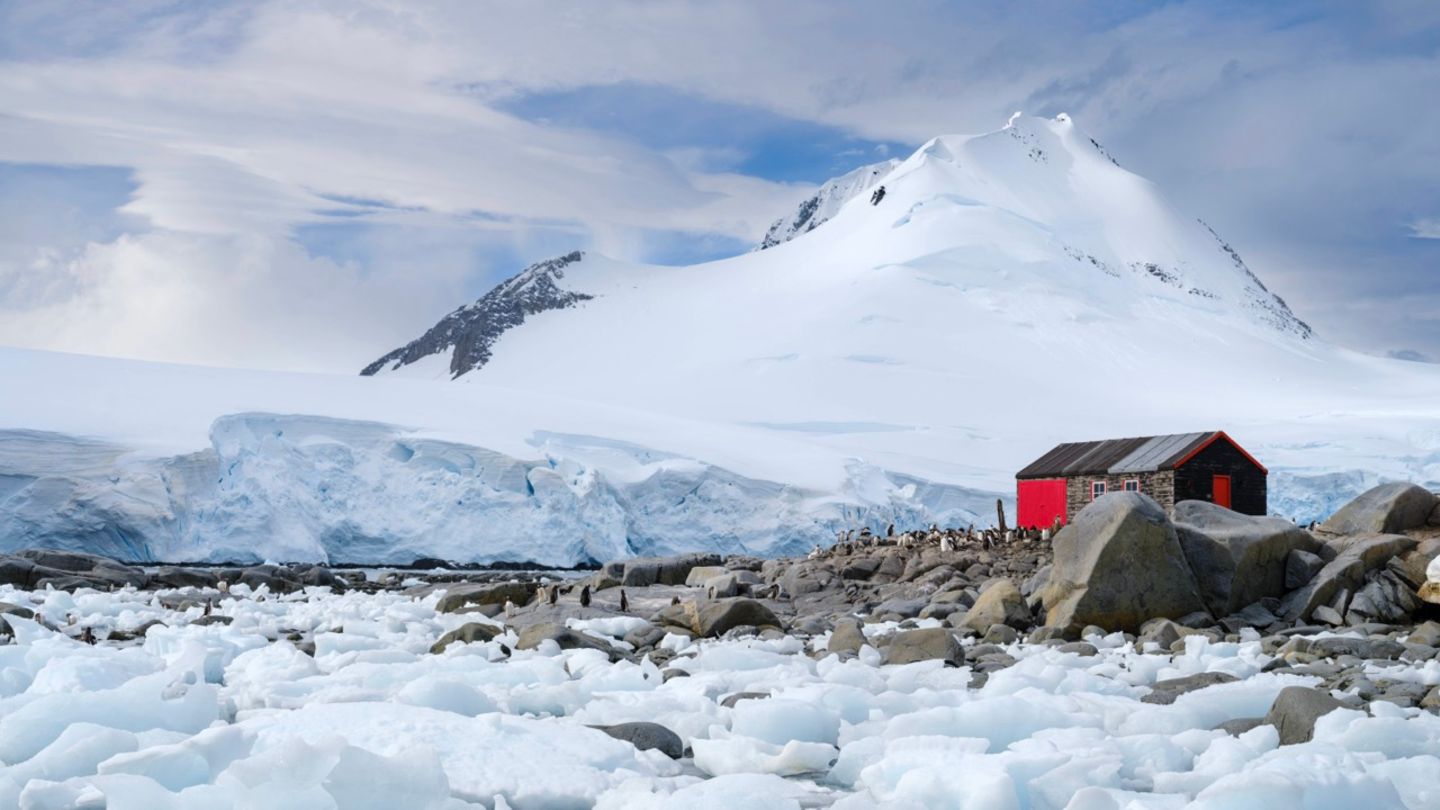 Job in Antarctica: Counting penguins as a postman - | it's really ...