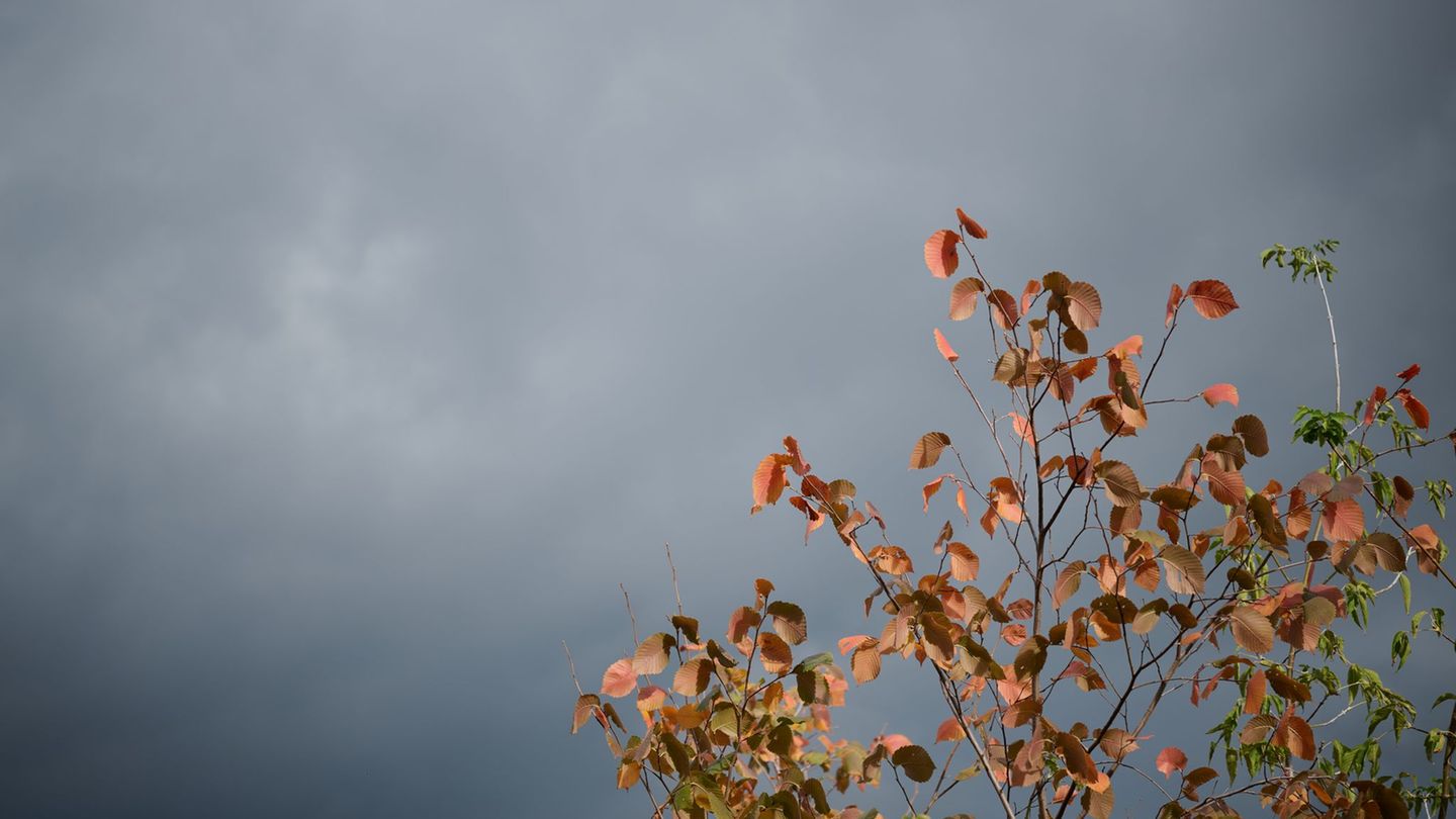 Vorhersage: Wechselhaftes Herbstwetter in NRW mit Sturmböen