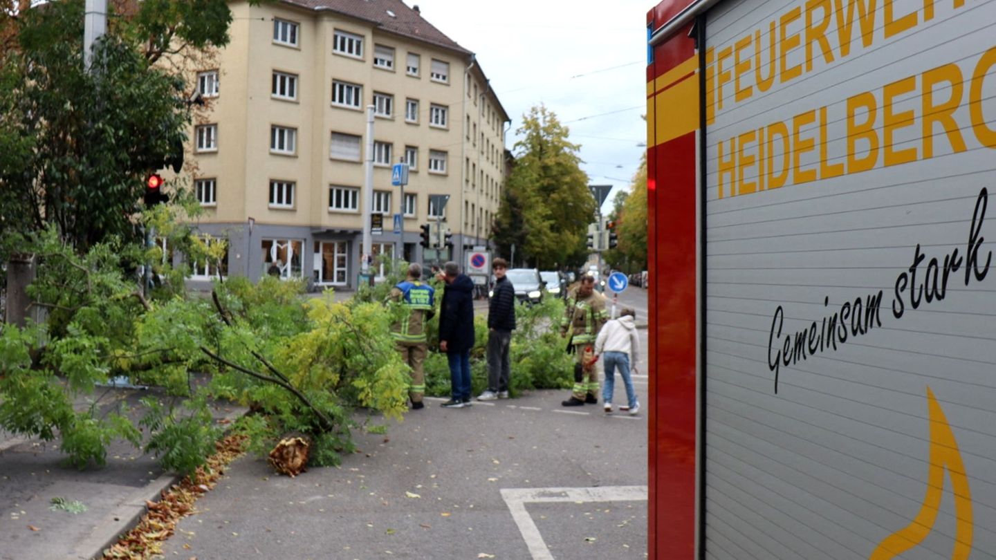 Unwetterschäden: Sturmtief „Luise“ entwurzelt Bäume - Ast trifft Radfahrerin