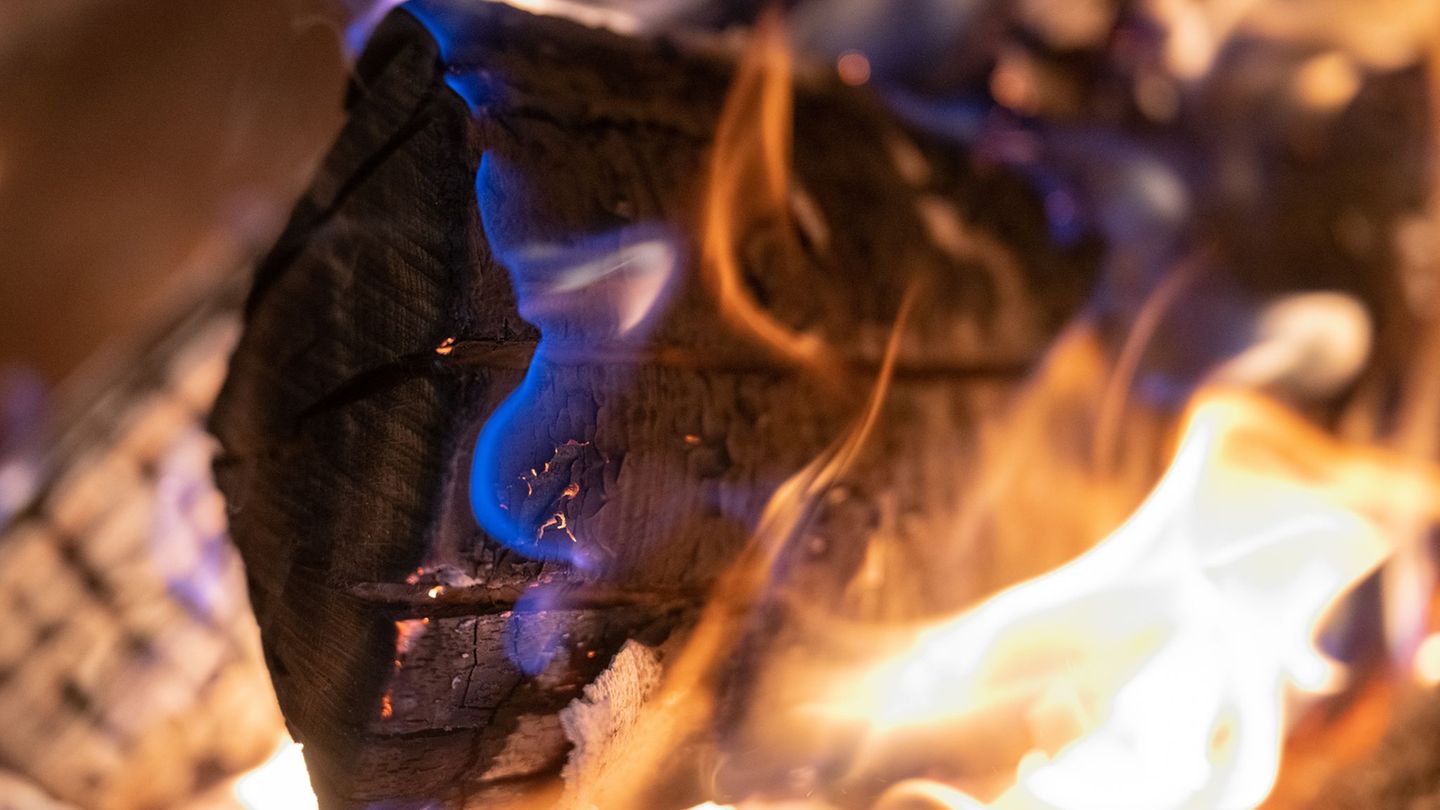 Wie viel kostet die Wärme?: Heizen mit Holz: Was Verbraucher in Rheinland-Pfalz zahlen