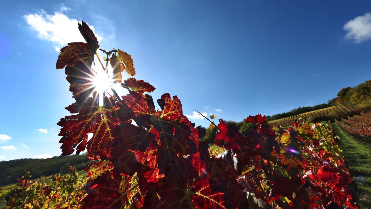 Wetter: Viel Sonne und bestes Ausflugswetter an den Alpen