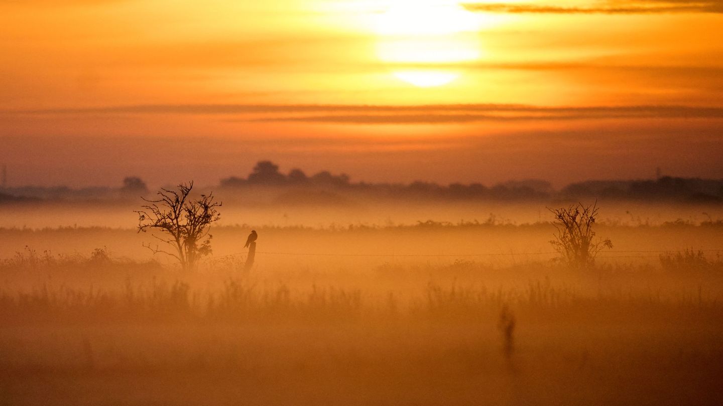 Wetteraussichten: Wechselhaftes Wetter - auch Sonnenschein dabei