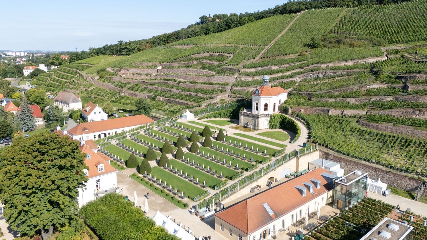 Neues Führungskonzept: Schloss Wackerbarth setzt bei Führungen auf KI