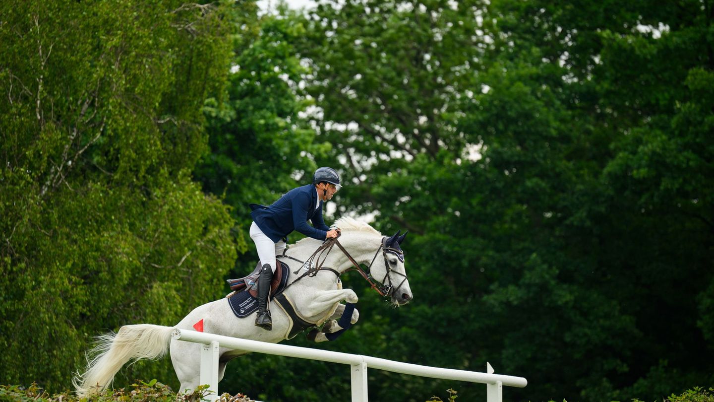 Premier Jumping League: Reitsport: Neue 300-Millionen-Dollar-Serie in Hamburg