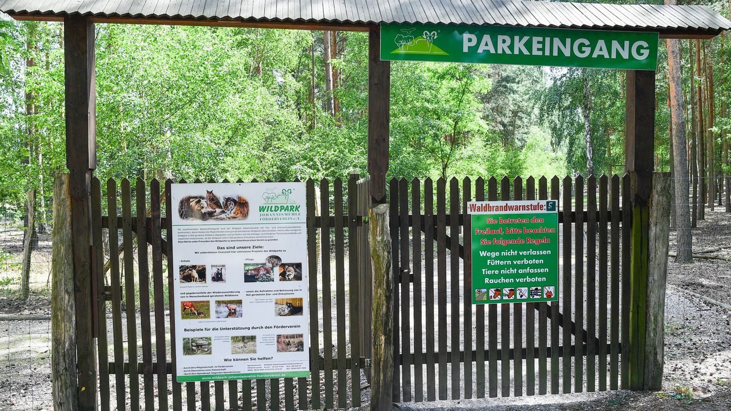 Zwischenfall in Tierpark: Polizeieinsatz in Wildpark – Kam es zu Attacke von Wildtier?