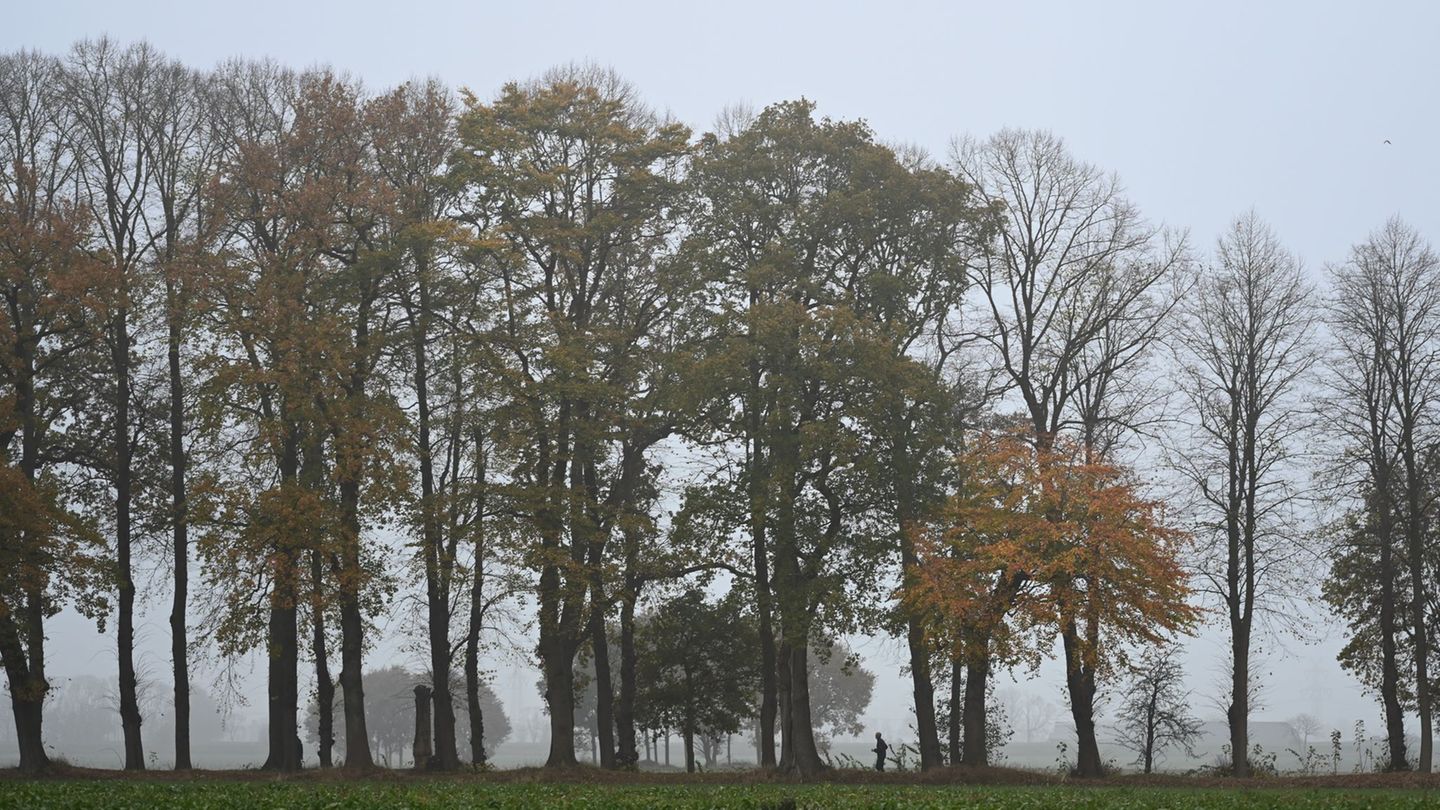 Wetter: Nebel und Hochnebel ab Donnerstagabend