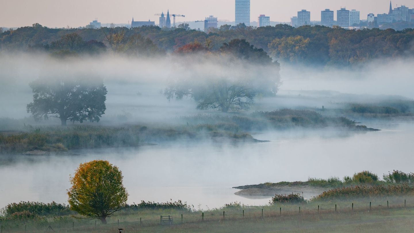 Wetter: Dauernebel und Abkühlung: Hoch bringt trübere Herbsttage