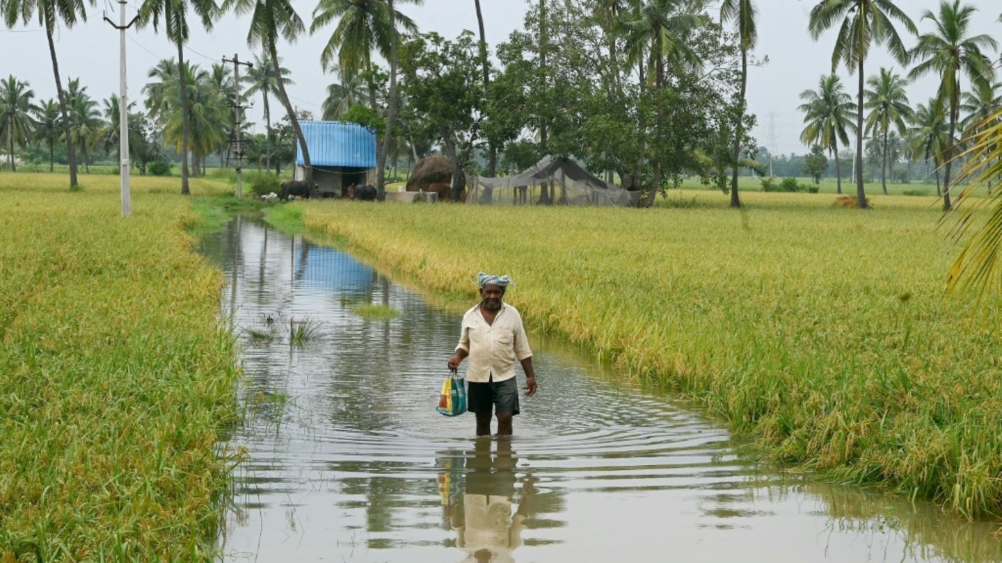 Stdwrn Unter Wasser | STERN.de
