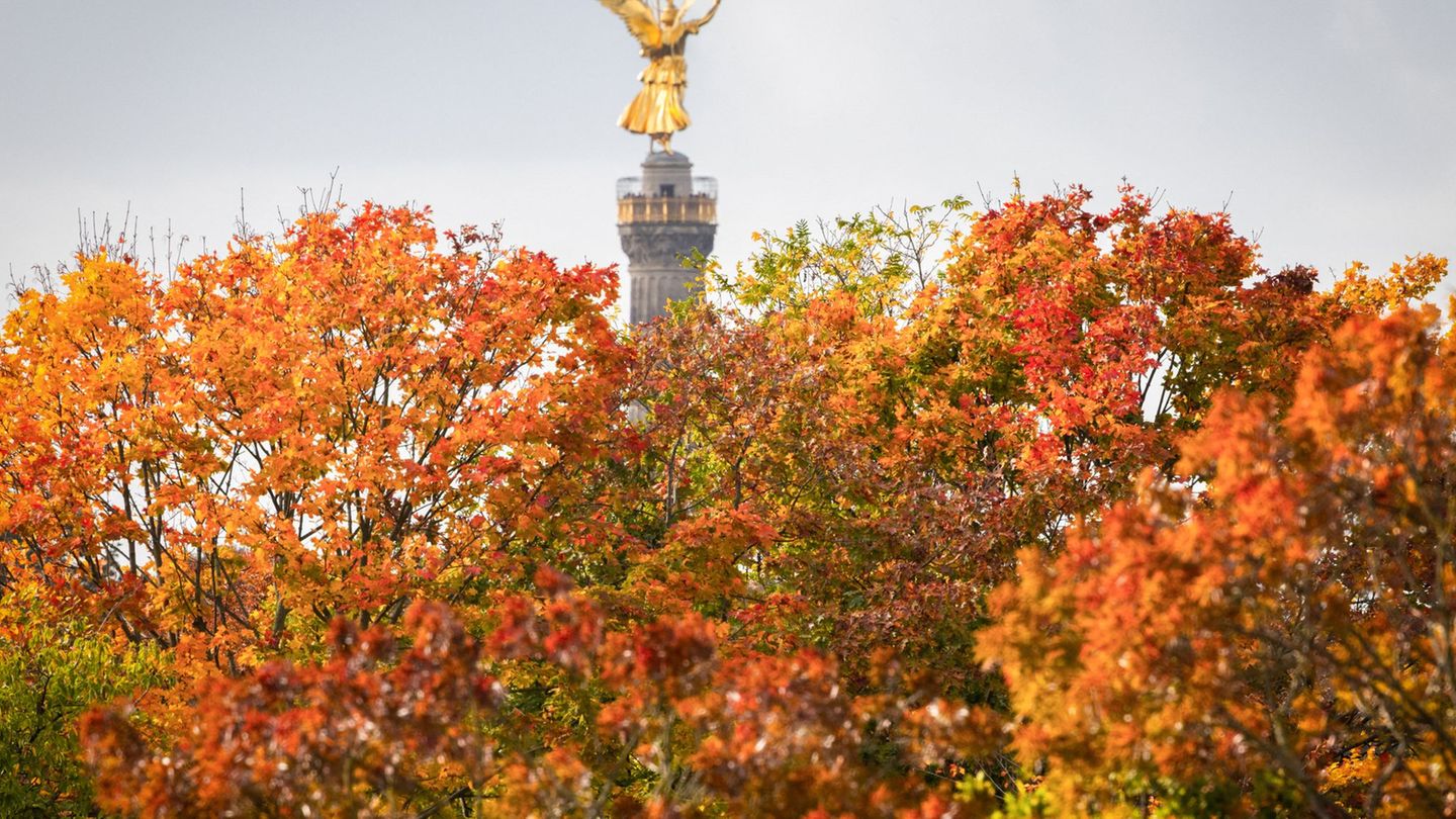 Wetterbilanz: DWD: Oktober war sehr trocken in Berlin und Brandenburg