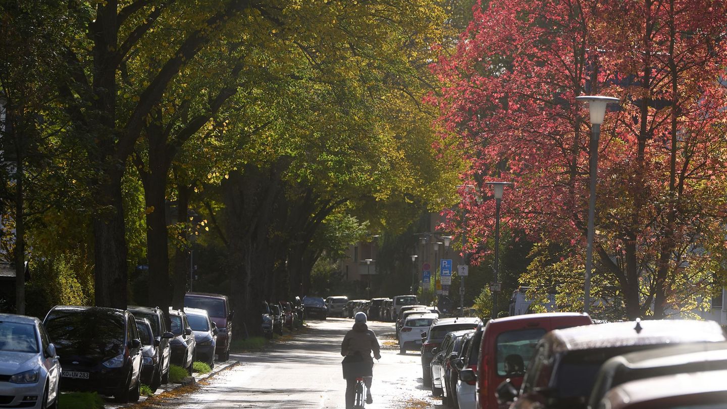 Wetterbilanz: Rheinland-Pfalz im Oktober-Sonnenranking auf Platz zwei