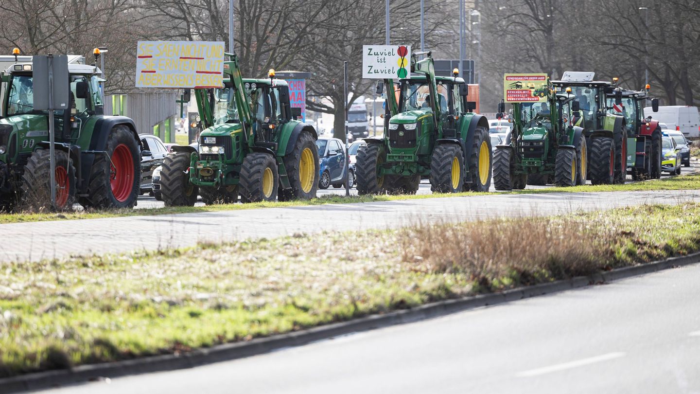 Ruinöser Preiswettbewerb: Schweinehalter unter Preisdruck - Protestaktionen möglich