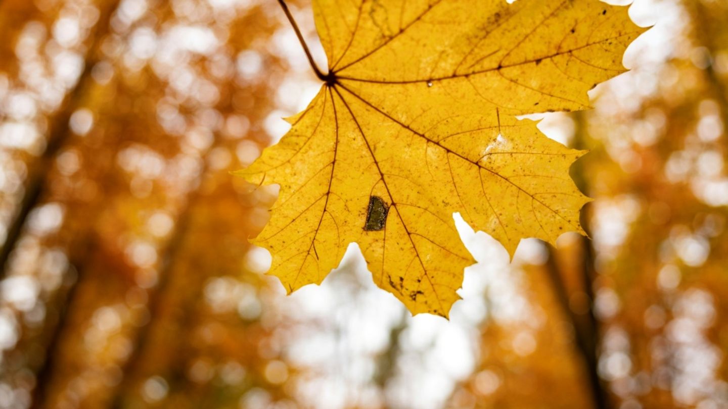 Wetterbilanz: Oktober war golden - aber auch überdurchschnittlich nass