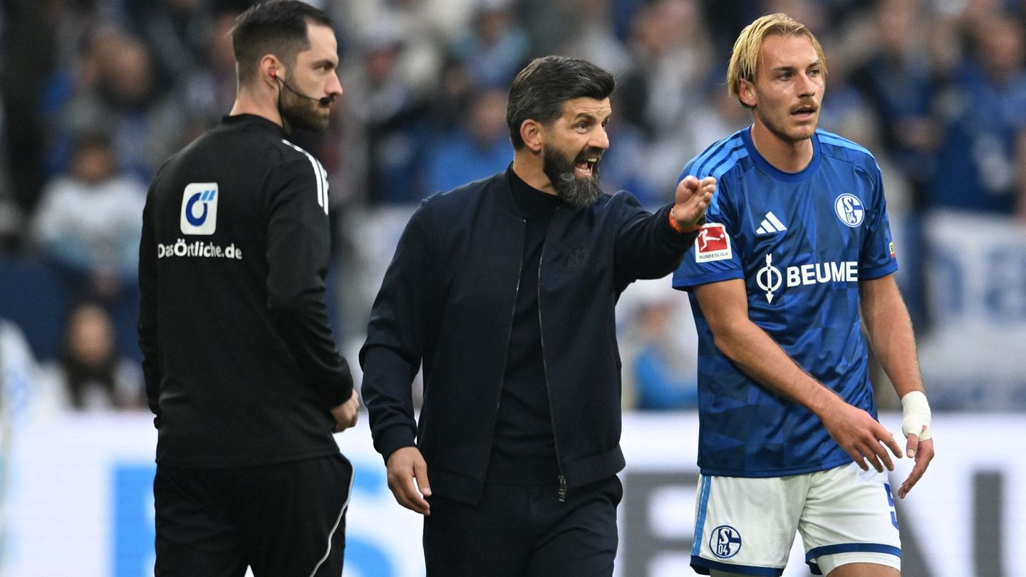 Fußball-Bundesliga: Neues „Schalke-Gesicht“: Muslic hält an Viererkette fest