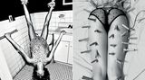 2008 und 2009 musste das brasilianische Model Raquel Zimmermann in extrem unbequemen Situationen posieren