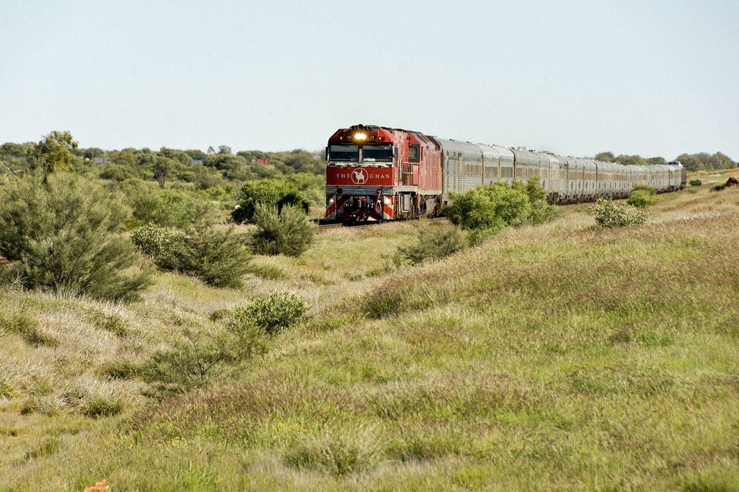 Ein Kamel als Logo des Zuges: Noch am selben Tag um 18.20 Uhr nimmt der "Ghan" wieder Fahrt auf, rattert durch das Buschland, ehe das rote Niemandsland erreicht wird. Der "Ghan", gesprochen "Gähn", hat seinen Namen nicht wegen seiner langsamen Durchschnittsgeschwindigkeit bekommen, sondern er leitet sich von der Verkürzung des Begriffs "Afghan Express" ab. Denn vor und beim Bau der Eisenbahn im 19. Jahrhunderts waren Kamele mit ihren afghanischen Karawanenführern die wichtigsten Transportmittel.