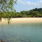 Strand, Palmen und Natur  Von wegen nur Wolkenkratzer: Singapur besteht nicht nur aus Großstadtdschungel, sondern auch aus tropischen Regenwäldern und weiten Strandabschnitten, wie hier der Tajong Beach auf der südlich vorgelagerten Insel Sentosa. Wer durch das Bukit-Timak-Naturreservat zum 164 Meter hohen Gipfel wandert, kann froh sein, dass er sich heutzutage nur der frechen Makakenäffchen erwehren muss. Noch Anfang des 19. Jahrhunderts galt das Areal unter den Siedlern als "tigerverseucht". Mehrere Hotels auf Sentosa setzten inzwischen auf natur- und strandnahe Ferien und sind ein Refugium für Metropolen-Flüchtlinge. Und mit etwas Glück kann man abends in der Dämmerung einen Weißbauchseeadler sehen, wie er über der Marina Bay seine Kreise zieht.