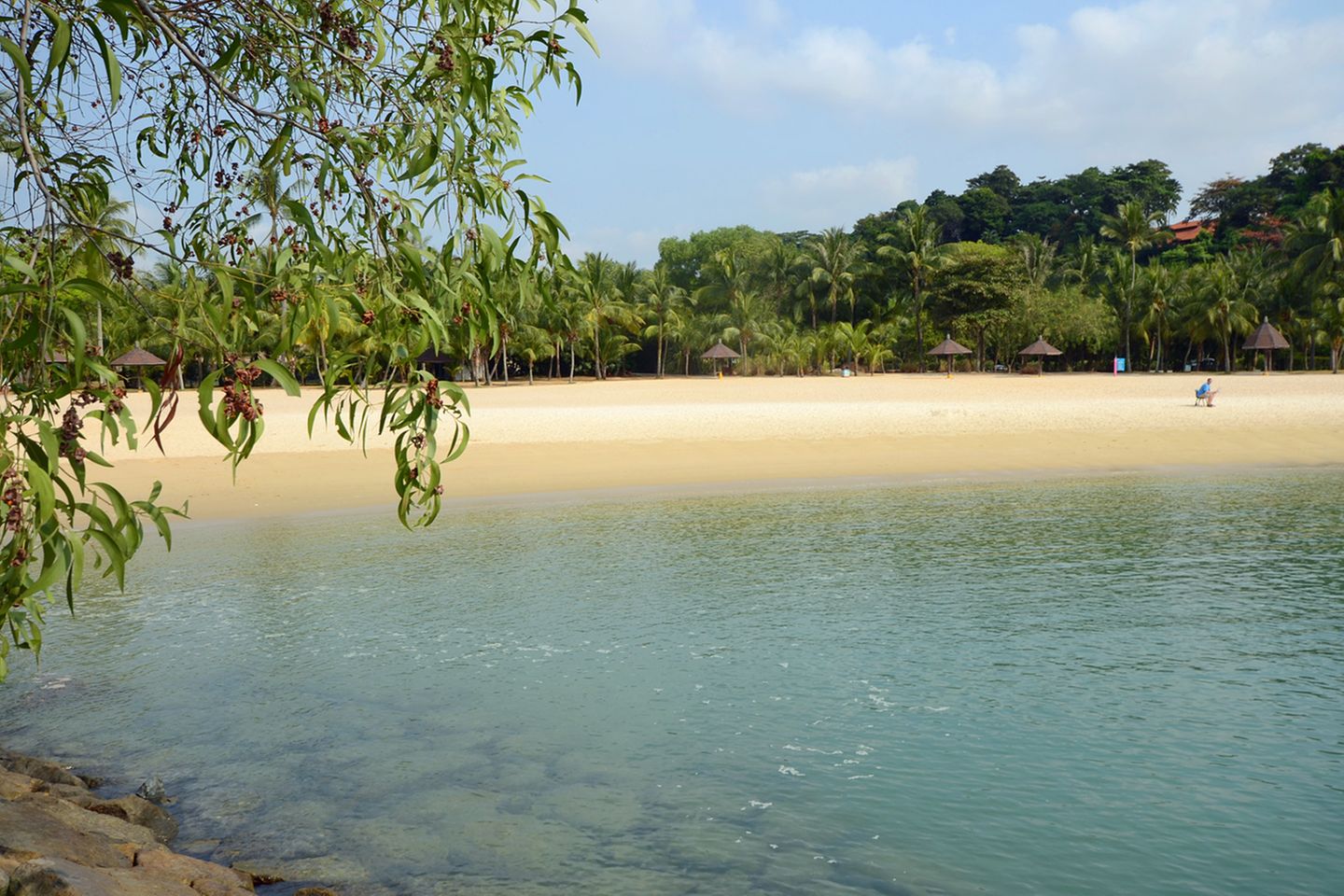 Strand, Palmen und Natur  Von wegen nur Wolkenkratzer: Singapur besteht nicht nur aus Großstadtdschungel, sondern auch aus tropischen Regenwäldern und weiten Strandabschnitten, wie hier der Tajong Beach auf der südlich vorgelagerten Insel Sentosa. Wer durch das Bukit-Timak-Naturreservat zum 164 Meter hohen Gipfel wandert, kann froh sein, dass er sich heutzutage nur der frechen Makakenäffchen erwehren muss. Noch Anfang des 19. Jahrhunderts galt das Areal unter den Siedlern als "tigerverseucht". Mehrere Hotels auf Sentosa setzten inzwischen auf natur- und strandnahe Ferien und sind ein Refugium für Metropolen-Flüchtlinge. Und mit etwas Glück kann man abends in der Dämmerung einen Weißbauchseeadler sehen, wie er über der Marina Bay seine Kreise zieht.