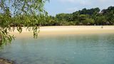 Strand, Palmen und Natur  Von wegen nur Wolkenkratzer: Singapur besteht nicht nur aus Großstadtdschungel, sondern auch aus tropischen Regenwäldern und weiten Strandabschnitten, wie hier der Tajong Beach auf der südlich vorgelagerten Insel Sentosa. Wer durch das Bukit-Timak-Naturreservat zum 164 Meter hohen Gipfel wandert, kann froh sein, dass er sich heutzutage nur der frechen Makakenäffchen erwehren muss. Noch Anfang des 19. Jahrhunderts galt das Areal unter den Siedlern als "tigerverseucht". Mehrere Hotels auf Sentosa setzten inzwischen auf natur- und strandnahe Ferien und sind ein Refugium für Metropolen-Flüchtlinge. Und mit etwas Glück kann man abends in der Dämmerung einen Weißbauchseeadler sehen, wie er über der Marina Bay seine Kreise zieht.