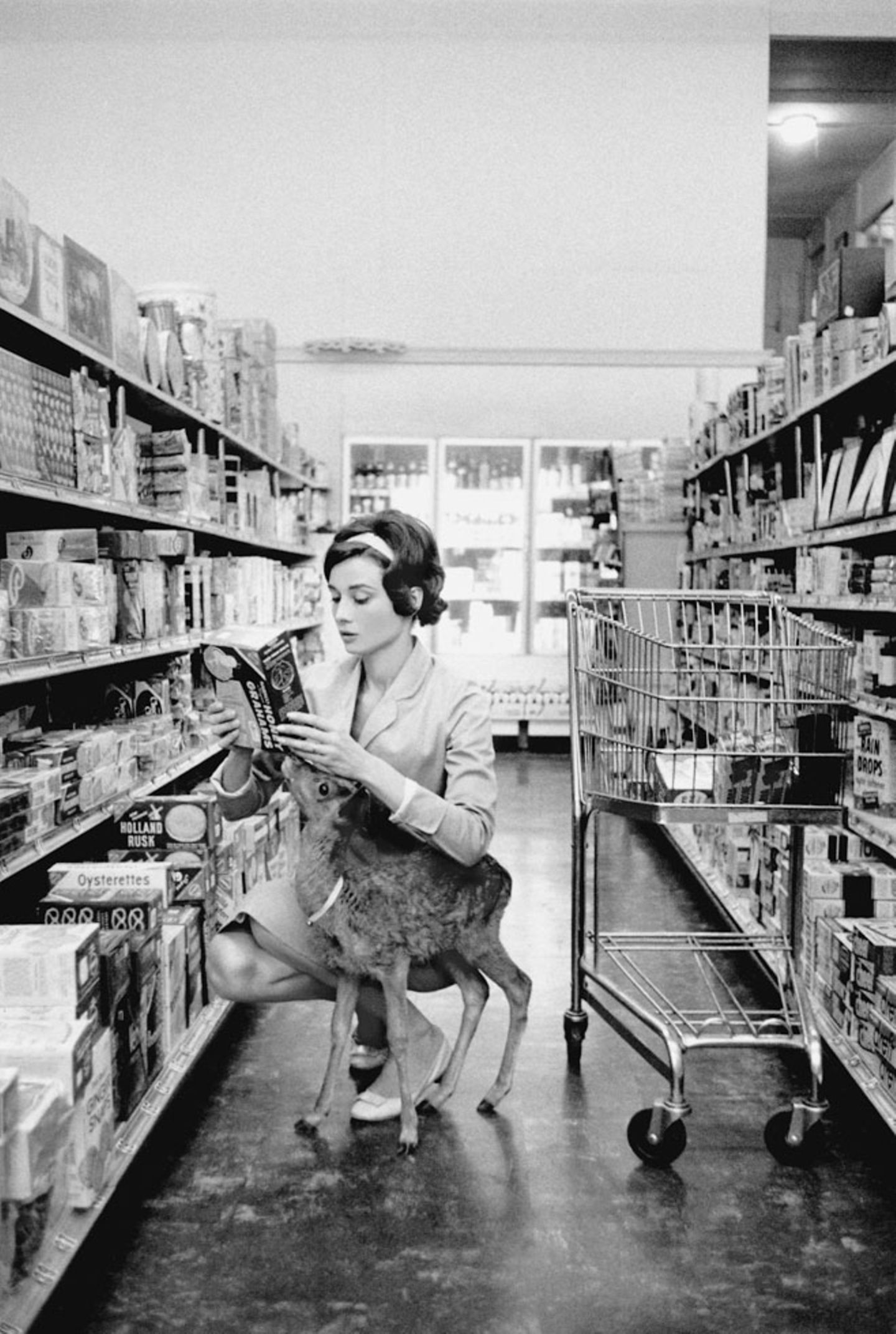 1959 brachte Audrey Hepburn von Dreharbeiten ein kleines Rehkitz mit nach Hause, das fortan bei der Familie lebte. Es bekam den Namen Pippin und wurde Ip genannt. Hier nimmt sie ihr Ip mit zum Einkaufen in den Supermarkt Gelson's in Beverly Hills.  www.taschen.com