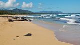 Ortswechsel nach Kauai  Doch Hawaii ist nicht nur Oahu. Eine halbe Flugstunde weiter im Nordwesten liegt Kauai. Hier hat kein Ort mehr als 10.000 Einwohner, kein Haus darf höher als eine Kokospalme sein. Werbeplakate sind verboten, die Strände fast menschenleer.
