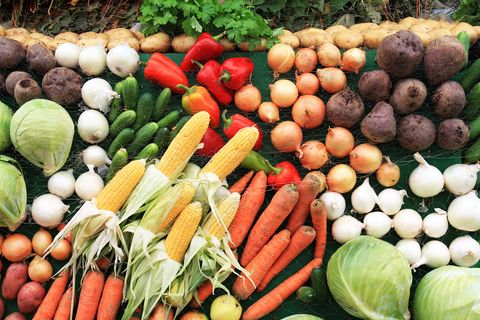 Eine gesündere Lebensweise ist einer der Gründe für eine fleischlose Ernährung