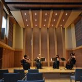 Konzertsaal statt Kletterwand: Ein Ort des Zurückziehens dürfte das Klanghaus werden, eine schwimmende Philharmonie für Kammermusik mit 300 Sitzplätzen und hervorragender Akustik.