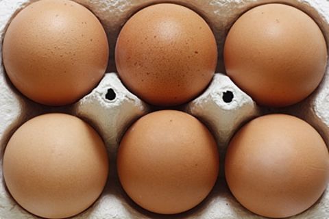 Zwei Supermarktketten haben Bio-Eier nach den Dioxinfunden vorübergehend aus dem Sortiment genommen
