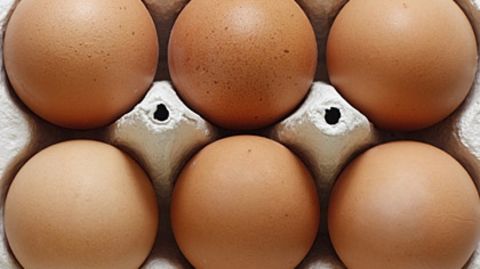 Zwei Supermarktketten haben Bio-Eier nach den Dioxinfunden vorübergehend aus dem Sortiment genommen
