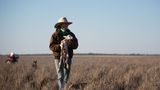 Mit dem Pferd oder Geländemotorrad ist Catherine schnell zur Stelle: Einige der 1800 Lämmer brauchen durchaus eine Starthilfe.