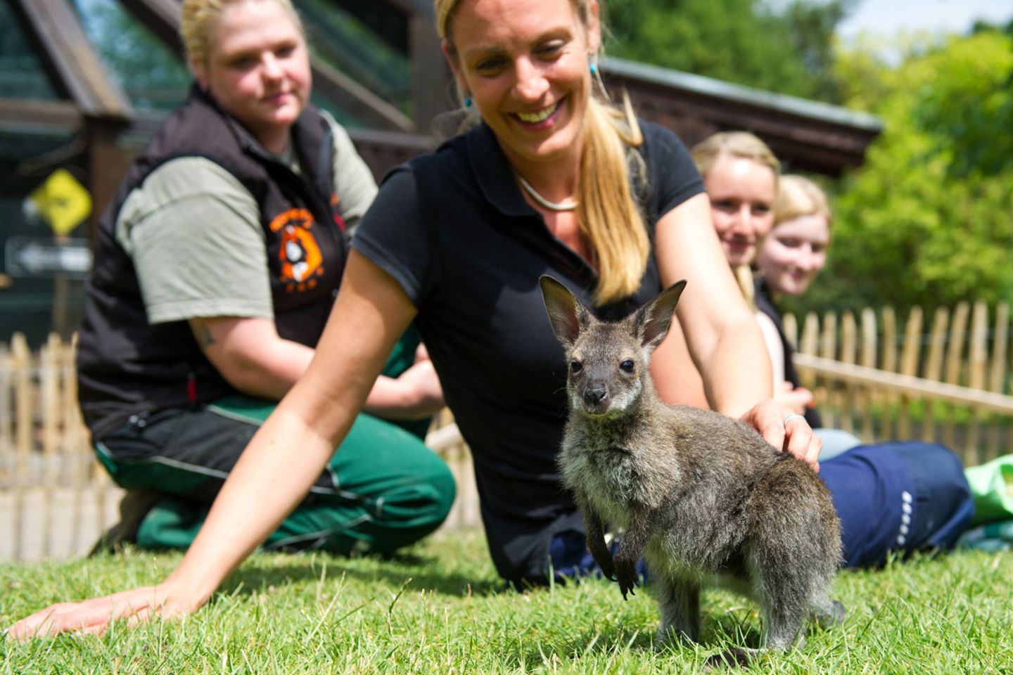 Känguru-Mädchen Spunk mit seinen neuen Müttern