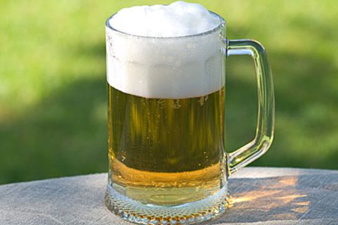 Der Hefestamm, der Lager-Bier möglich machte, stammt aus Patagonien