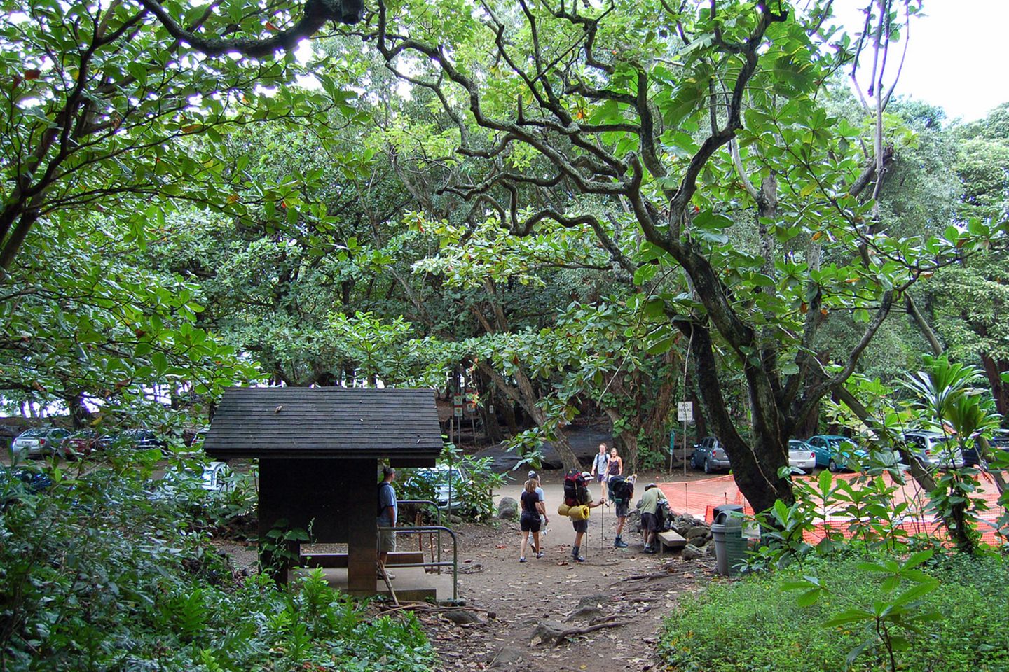 Hawaii-Inseln Oahu und Kauai: Aufbruch in den grünen Dschungel An der Napali-Küste wird das Terrain so zerklüftet, dass keine Straße um die Insel herumführt. Im Haena State Park endet der Highway 560, nur noch zu Fuß geht es weiter nach Westen: Der Kalalau Trail gehört zu einem der anspruchsvollsten Touren auf den Hawaii-Inseln. Für eine Wanderung eignet sich der Monat September am besten, weil es dann die wenigsten Niederschläge gibt. Aufbruch in den grünen Dschungel  An der Napali-Küste wird das Terrain so zerklüftet, dass keine Straße um die Insel herumführt. Im Haena State Park endet der Highway 560, nur noch zu Fuß geht es weiter nach Westen: Der Kalalau Trail gehört zu einem der anspruchsvollsten Touren auf den Hawaii-Inseln. Für eine Wanderung eignet sich der Monat September am besten, weil es dann die wenigsten Niederschläge gibt.