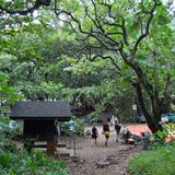 Aufbruch in den grünen Dschungel  An der Napali-Küste wird das Terrain so zerklüftet, dass keine Straße um die Insel herumführt. Im Haena State Park endet der Highway 560, nur noch zu Fuß geht es weiter nach Westen: Der Kalalau Trail gehört zu einem der anspruchsvollsten Touren auf den Hawaii-Inseln. Für eine Wanderung eignet sich der Monat September am besten, weil es dann die wenigsten Niederschläge gibt.