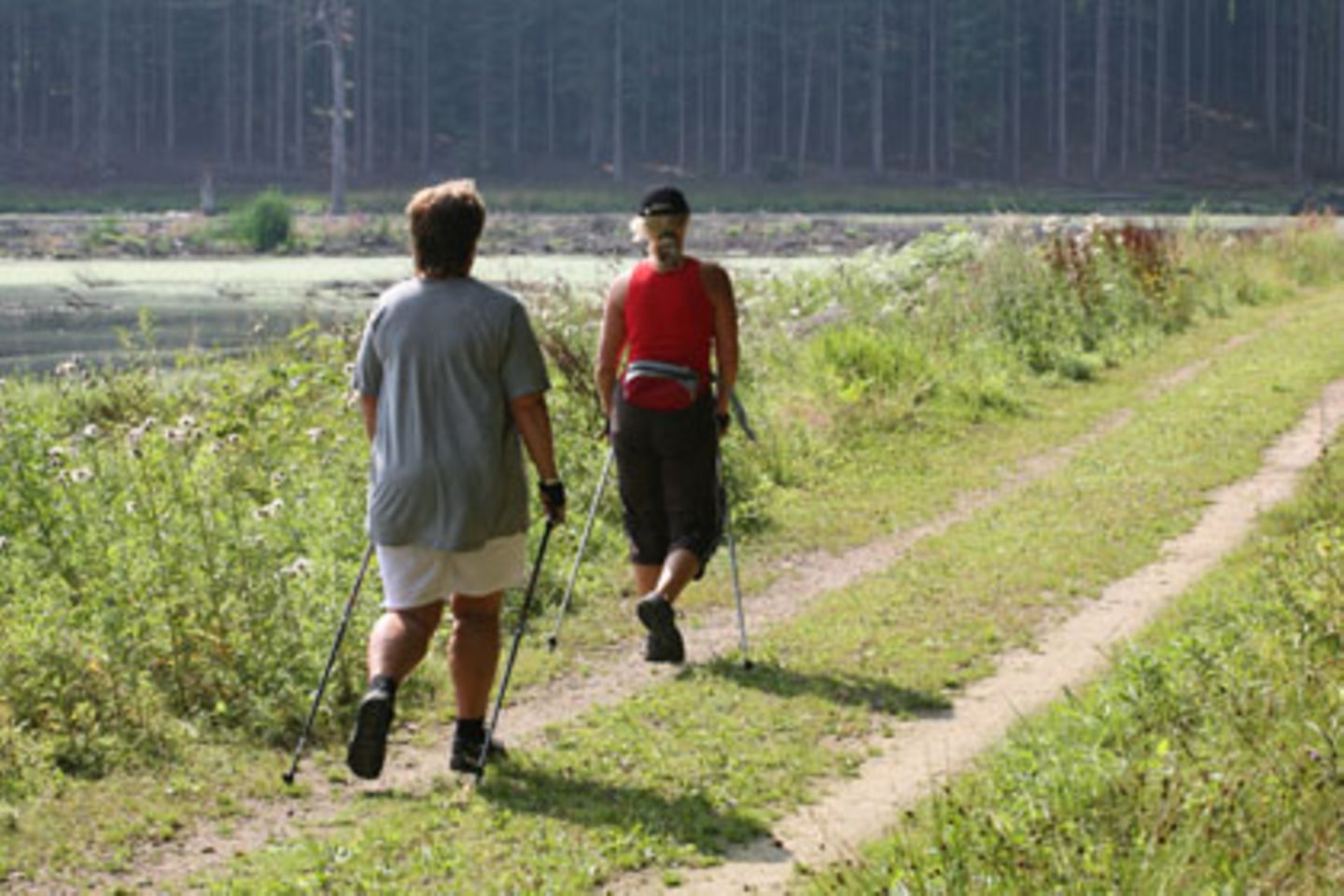 Das Programm "Aktiv aus dem Stimmungstief" ist ein moderates Ausdauertraining - bestehend aus Walking, leichtem Lauftraining und spielerischen Übungen