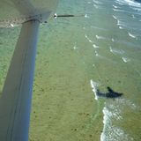 Über dem Meer: Unten am Riff bricht sich die Flut und schwappt das Wasser bis zum Strand. Die Unterkunft nennt sich Eco Resort, bezieht ein Großteil der elektrischen Energie aus Sonnenkollektoren und recycelt die Abwässer. Mit dem Brauchwasser wird die Piste gesprengt. Die Preise für Übernachtung mit Halbpension beginnen bei umgerechnet 100 Euro pro Person und Tag. Das Leihen der Schnorchelausrüstung, eine Vogelbeobachtungstour und ein Ausflug mit einem Glas Bottom Boat sind inklusive.  Lady Elliot Island lässt sich auch über und unter Wasser per Google Street View besuchen: http://goo.gl/kDcLN