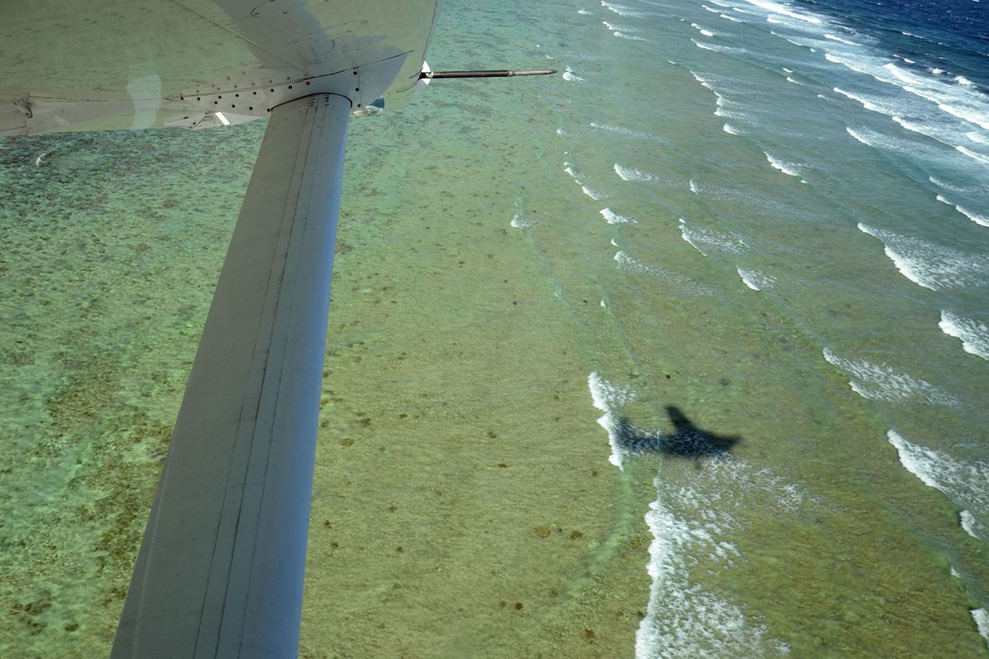 Lady Elliot Island: Über dem Meer: Unten am Riff bricht sich die Flut und schwappt das Wasser bis zum Strand. Die Unterkunft nennt sich Eco Resort, bezieht ein Großteil der elektrischen Energie aus Sonnenkollektoren und recycelt die Abwässer. Mit dem Brauchwasser wird die Piste gesprengt. Die Preise für Übernachtung mit Halbpension beginnen bei umgerechnet 100 Euro pro Person und Tag. Das Leihen der Schnorchelausrüstung, eine Vogelbeobachtungstour und ein Ausflug mit einem Glas Bottom Boat sind inklusive. Lady Elliot Island lässt sich auch über und unter Wasser per Google Street View besuchen: http://goo.gl/kDcLN Über dem Meer: Unten am Riff bricht sich die Flut und schwappt das Wasser bis zum Strand. Die Unterkunft nennt sich Eco Resort, bezieht ein Großteil der elektrischen Energie aus Sonnenkollektoren und recycelt die Abwässer. Mit dem Brauchwasser wird die Piste gesprengt. Die Preise für Übernachtung mit Halbpension beginnen bei umgerechnet 100 Euro pro Person und Tag. Das Leihen der Schnorchelausrüstung, eine Vogelbeobachtungstour und ein Ausflug mit einem Glas Bottom Boat sind inklusive. Lady Elliot Island lässt sich auch über und unter Wasser per Google Street View besuchen: http://goo.gl/kDcLN