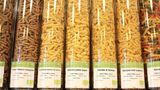 "Unverpackt" lässt sich die Waren vom Großhandel in großen Säcken liefern und bringt sie dann passgenau unter die Leute: 100 Gramm Gnocchi kosten beispielsweise 0,28 Euro.