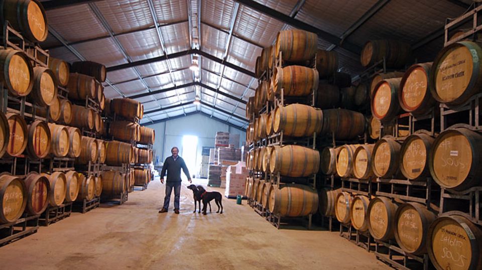 Neben seinem in die Felsen getriebenen Weinkeller altert der vergorene Traubensaft bei Maxwell Wines auch im temperierten Wellblechhangar, wie es bei den meisten australischen Weingütern üblich ist - seine Jagdhunde begleiten ihn stets auf dem Rundgang