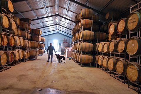 Neben seinem in die Felsen getriebenen Weinkeller altert der vergorene Traubensaft bei Maxwell Wines auch im temperierten Wellblechhangar, wie es bei den meisten australischen Weingütern üblich ist - seine Jagdhunde begleiten ihn stets auf dem Rundgang