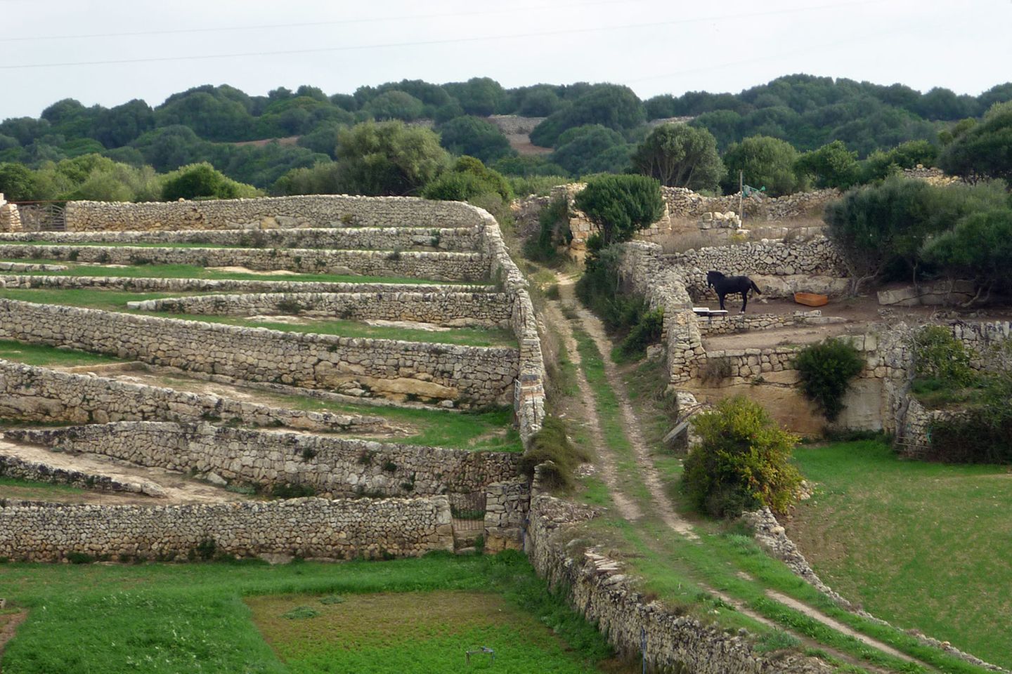 Fast wie in Irland: Steinmauern schützen die Felder vor Winderosion.