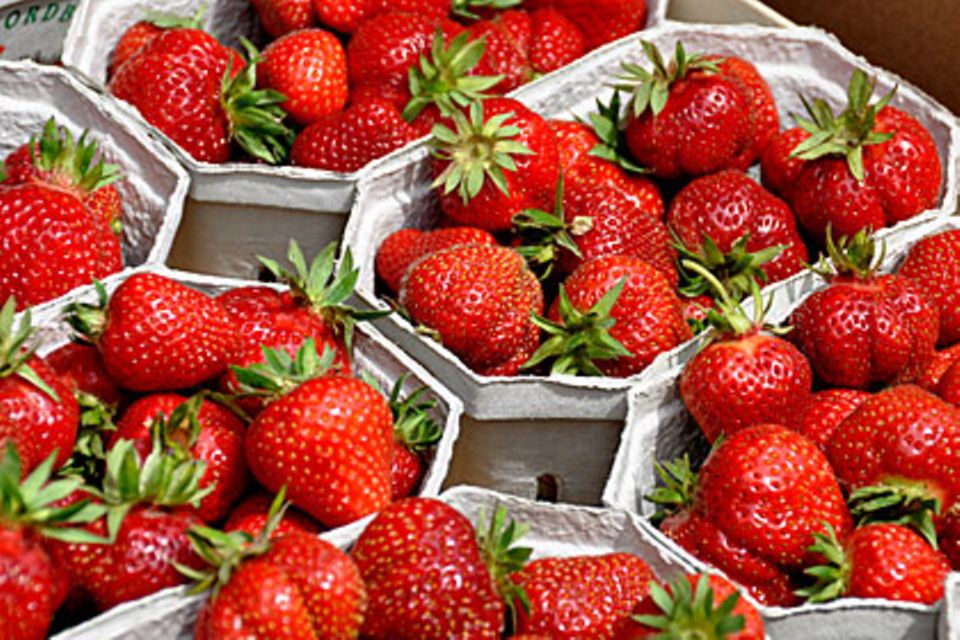 Erdbeeren sind noch immer häufig mit Pestiziden belastet
