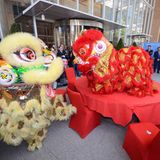 Chinesisches Eröffnungszeremonie vor dem Eingang: Zwei Löwen tanzen erst um und später auf einem runden Tisch. Dann verspeisen die Monster kleine Haufen von Silbermünzen und einen grünen Salatkopf – ein Ritual, das Glück und Wohlstand verspricht.