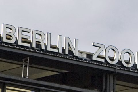 Am Berliner Bahnhof Zoo fand Mario Zöckler* sein späteres Opfer