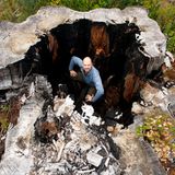 Ein gut aufeinander eingespieltes Ökosystem, wäre da nicht der Mensch. Bereits jetzt sind viele der uralten Wälder, die Tasmanien bedeckten, gerodet und der Gier nach Papier zum Opfer gefallen. Mit "abstrusen Argumenten" werde das andauernde Abholzen von Politik und Industrie gerechtfertigt, kritisiert Mauthe. Meterdicke Baumstümpfe, ein solcher Anblick hat ihn erschüttert.