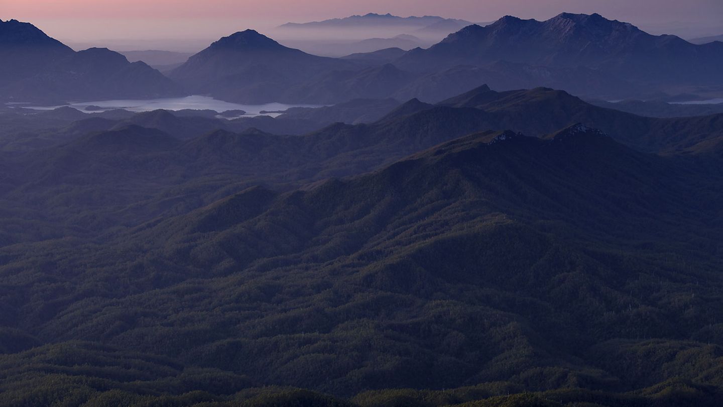 Blick vom Gipfel des "Frenchmans Cap" auf die überwiegend mit Regenwald bewachsene Landschaft des Franklin Gordon Wild Rivers Nationalpark. Die Harmonie trügt: Statt des artenreichen Regenwaldes werden an den kahlen Stellen Monokulturen gezüchtet - mit recht schnell wachsenden Eukalyptusbäumen, die wiederum für die Holzproduktion verwendet werden können. Die ursprünglichen, artenreichen Wälder sind für immer verloren.