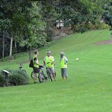 Brissie per Bike  Die Stadt lässt sich mit dem Fahrrad einfach erkunden, insbesondere durch die Fahrradwege auf beiden Ufern des Brisbane River. Für kurze Wege gibt es öffentliche Leihfahrräder, in Brisbane "City Cycle" genannt, die an festen Stationen entliehen und wieder abgegeben werden müssen. Zwei- bis vierstündige Touren mit Erklärungen zur Stadtgeschichte, durch die Parks und den Botanischen Garten (Foto) bieten Fiona und Steve von Brisbane Bicycle Tours.  www.citycycle.com.au  www.brisbanebicycletours.com.au
